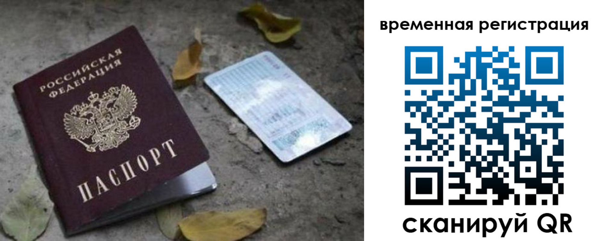 прописка гарантия в Камышине