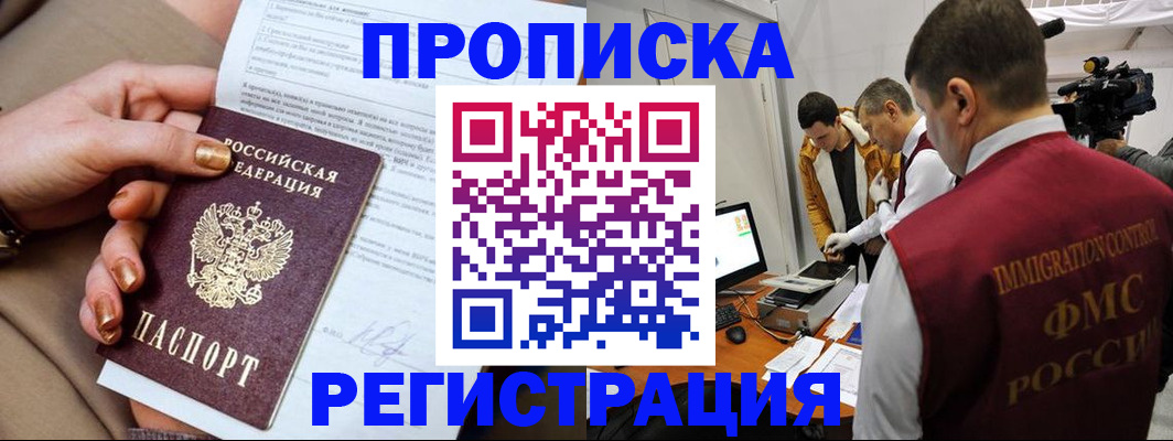 прописка 2025 в Камышине